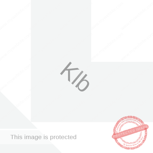 Union4